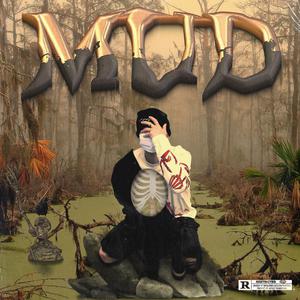 沈悦陆婷婷江晓萍大团结
