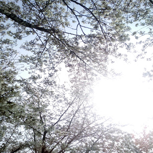 沈悦陆婷婷江晓萍大团结
