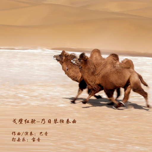 沈悦陆婷婷江晓萍大团结
